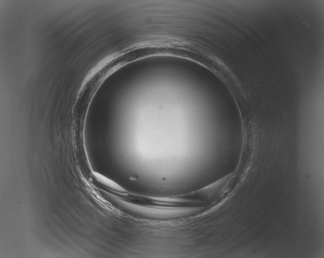 X0000085821114200703161215