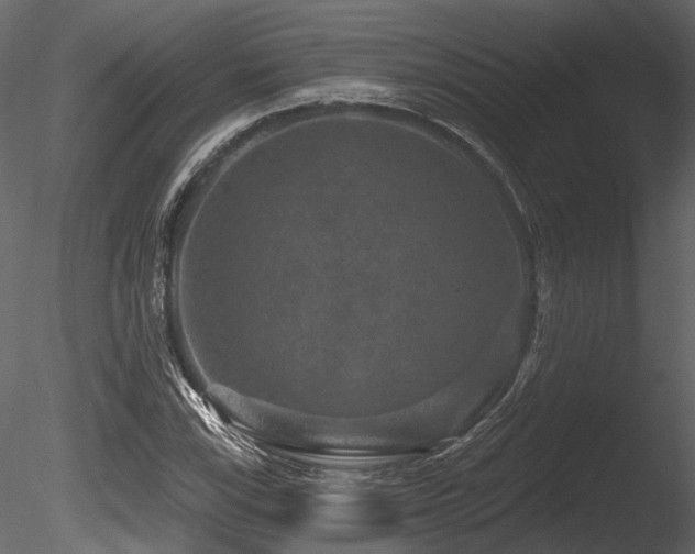 X0000085821115200703161215