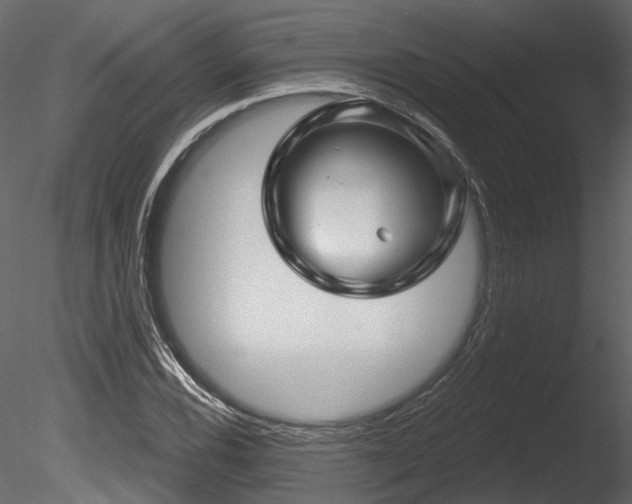 X0000085821116200703161215