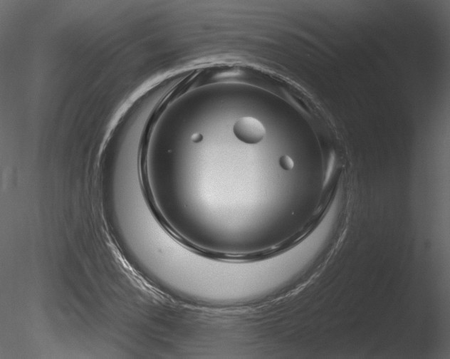 X0000085821118200703161215
