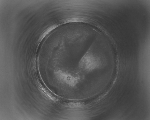 X0000085821121200703161215
