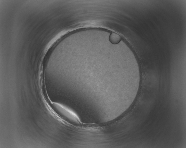 X0000085821126200703161215