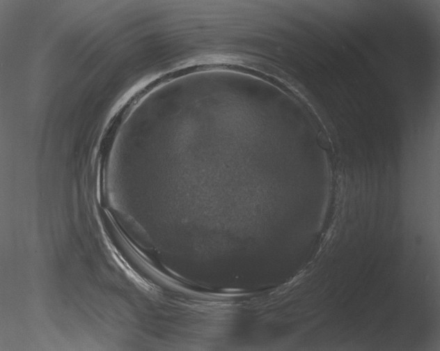 X0000085821127200703161215