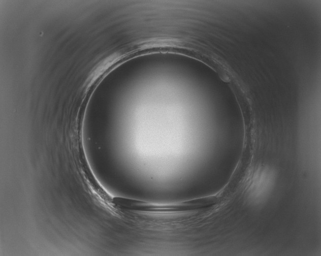 X0000085821129200703161215