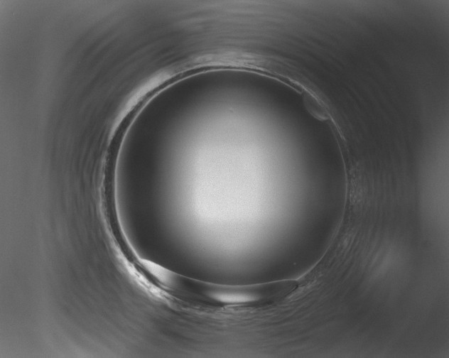 X0000085821139200703161215