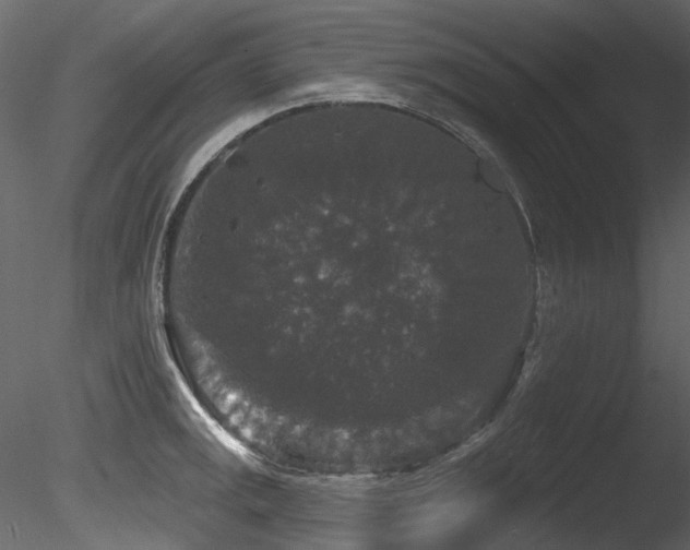 X0000085821141200703161216