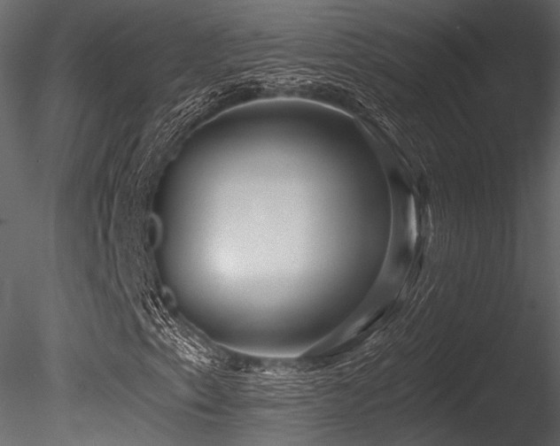 X0000085821153200703161215