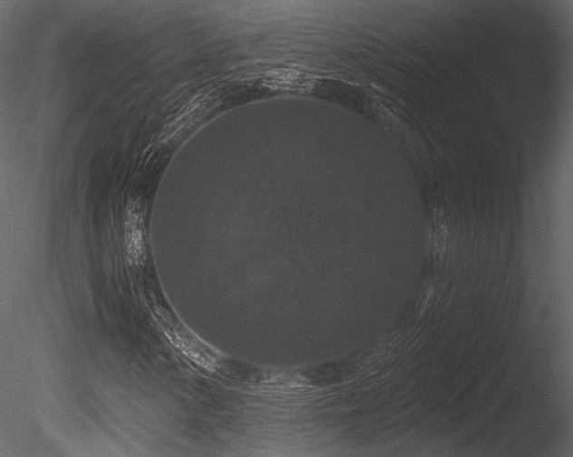 X0000085821154200703161215