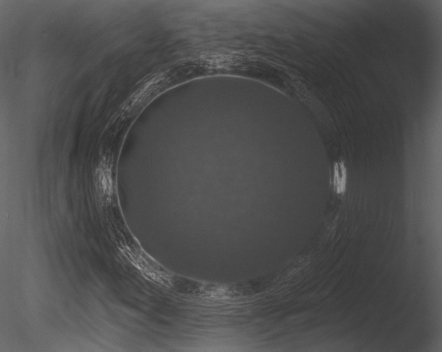 X0000085821155200703161215