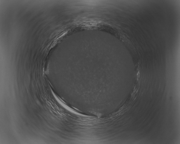 X0000085821156200703161215