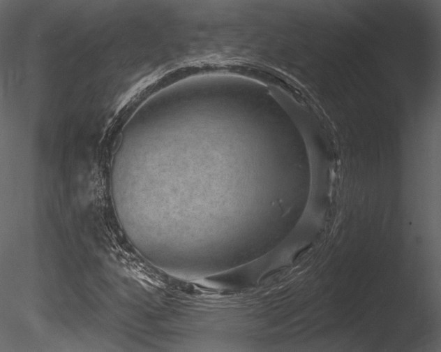 X0000085821160200703161215