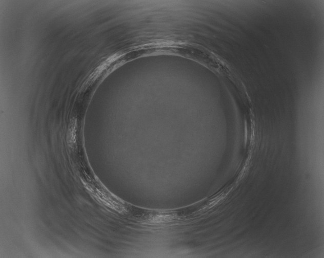 X0000085821161200703161215