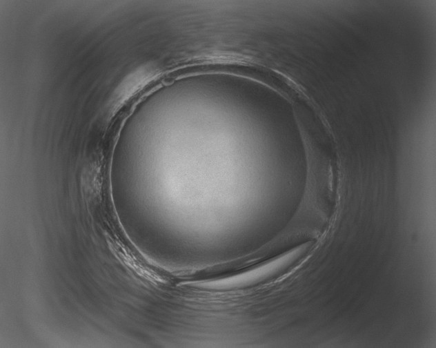 X0000085821163200703161215