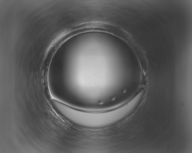X0000085821164200703161215