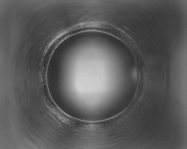 X0000085821166200703161215