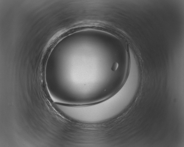 X0000085821172200703161215