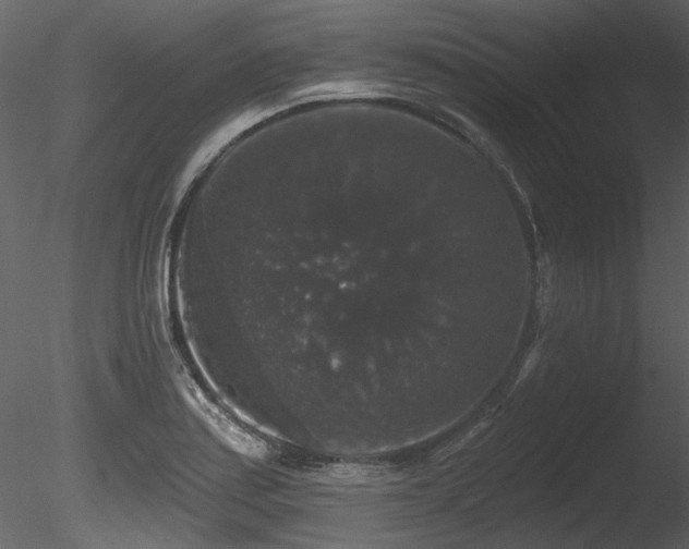 X0000085821179200703161214