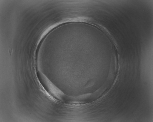 X0000085821184200703161214