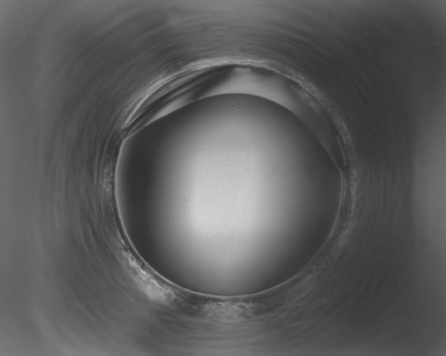 X0000085821185200703161214