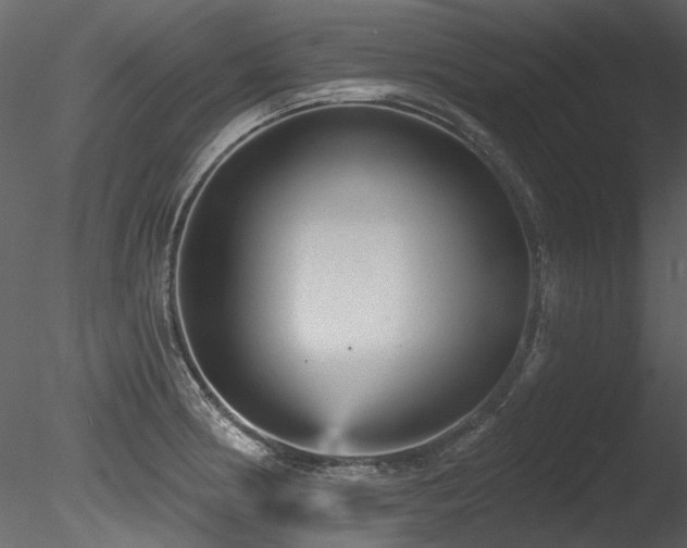 X0000085821186200703161214