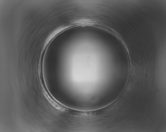X0000085821195200703161214