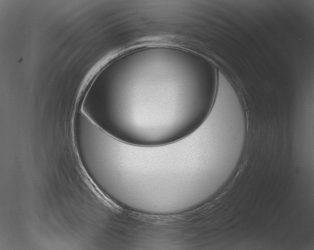 X0000085821196200703161214