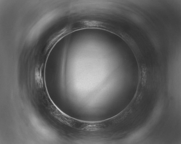 X0000085821198200703161214