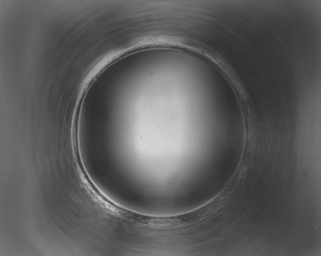 X0000085821199200703161214