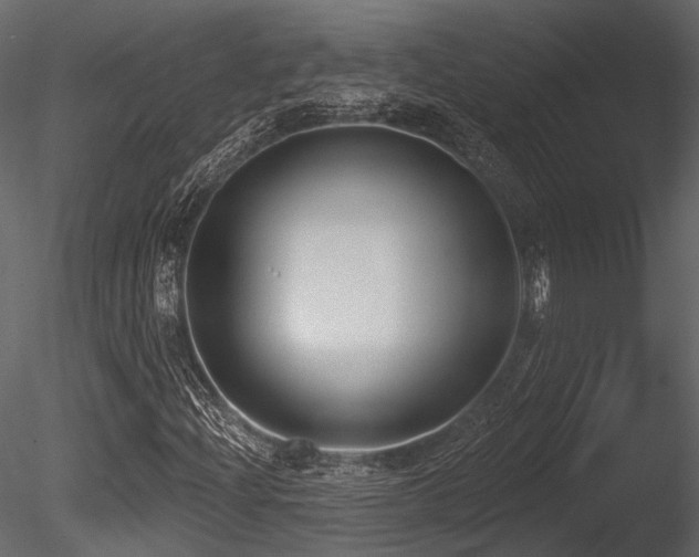 X0000085821204200703161213