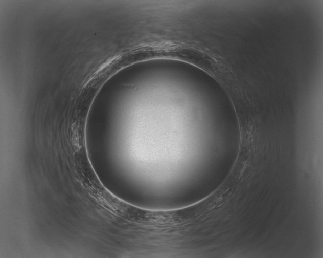 X0000085821205200703161213