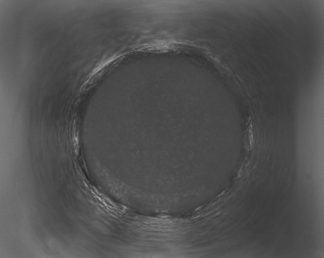 X0000085821206200703161213