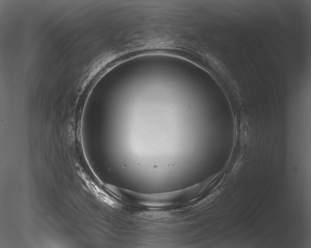 X0000085821212200703161213