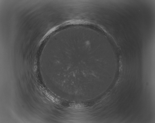 X0000085821213200703161213