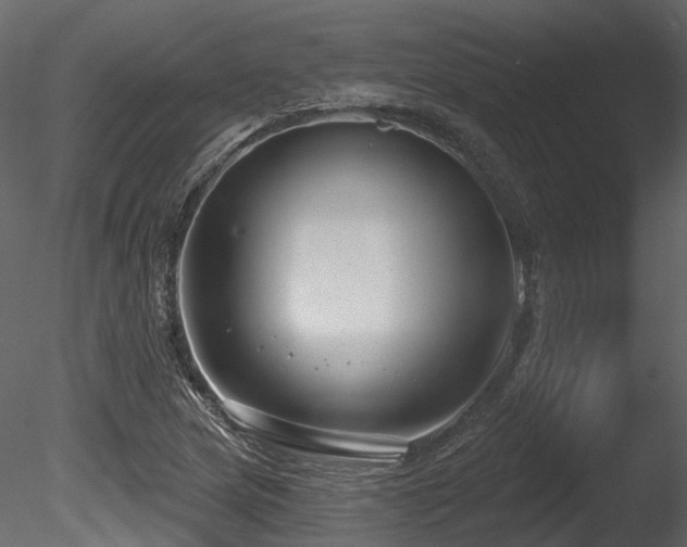 X0000085821217200703161214