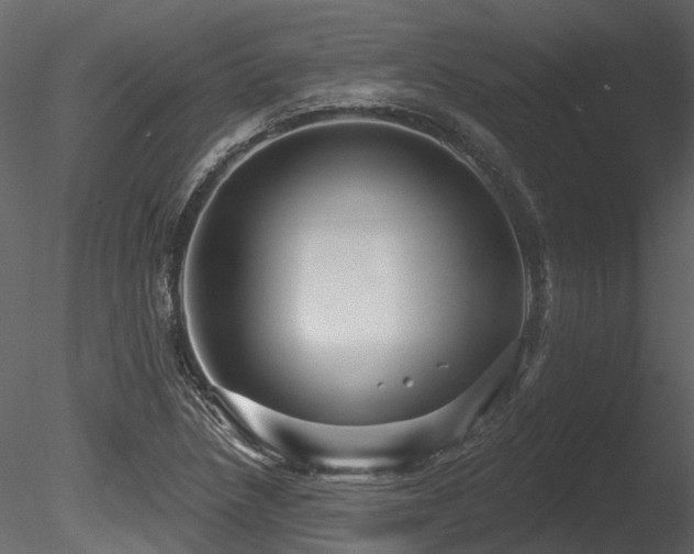 X0000085821218200703161214