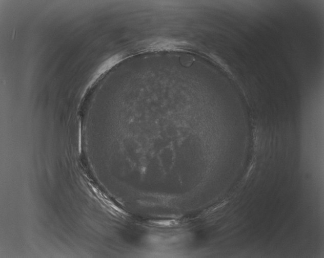 X0000085821219200703161214