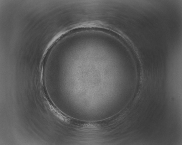 X0000085821224200703161214