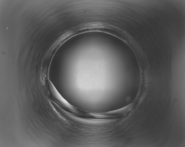 X0000085821225200703161214