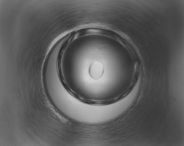 X0000085821230200703161214