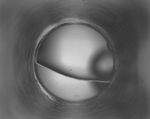 X0000085821231200703161214