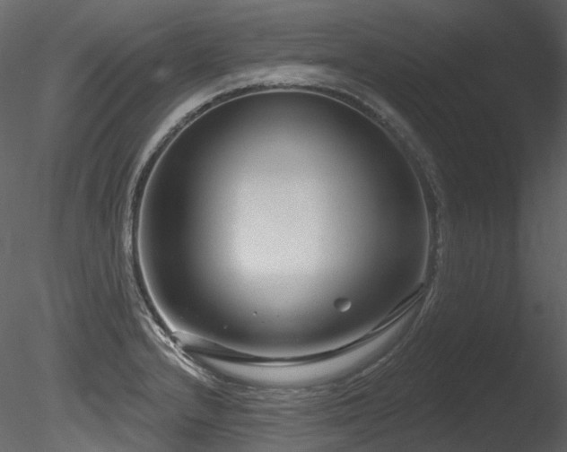 X0000085821232200703161214