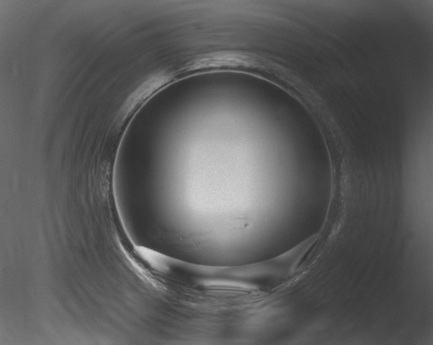 X0000085821233200703161214