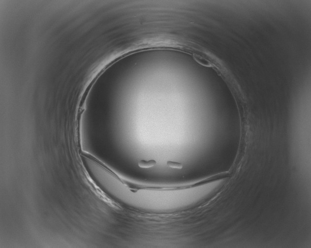 X0000085821236200703161214