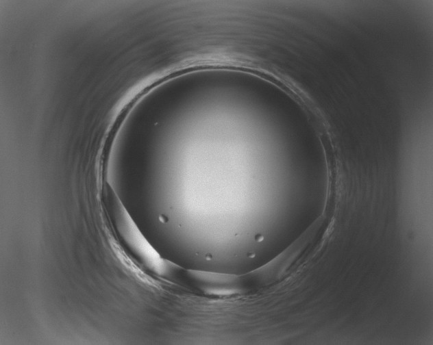 X0000085821238200703161214