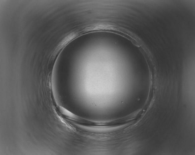 X0000085821241200703161214