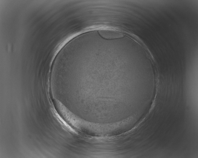 X0000085821244200703161214