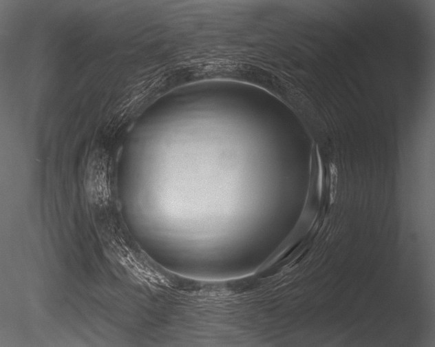 X0000085821250200703161213
