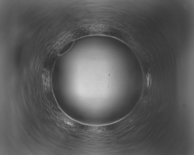 X0000085821251200703161213