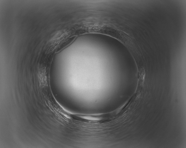 X0000085821252200703161213