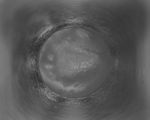 X0000085821254200703161213